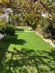 Ninemia Naxos Suites