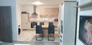 Apartma Sivi žako - 班斯卡比斯特里察