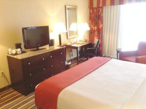 Standard  Room room in Holiday Inn Orlando SW – Celebration Area an IHG Hotel