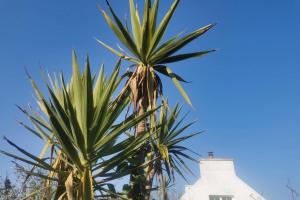 Maisons de vacances Escapade en famille a Plougasnou - Finistere : photos des chambres