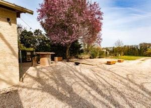 Maisons de vacances Gite du Lapin Bleu : photos des chambres