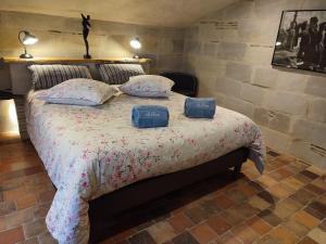 Maisons de vacances Gite Dagueloire : photos des chambres
