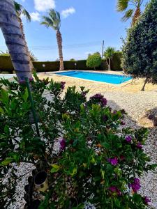 Villa Anastasia - Stunning Sea View, Cheerful 2 Bedroom Villa