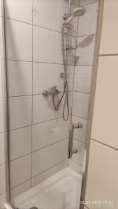 Apartament "Jeleń" Cieplice