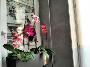 Welcome Verona Rooms