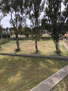 Aloni Studios and Apartments