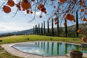 Lake Apartment in Villa Massi
