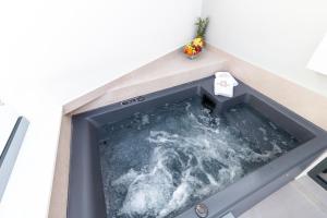 Paleo Suites