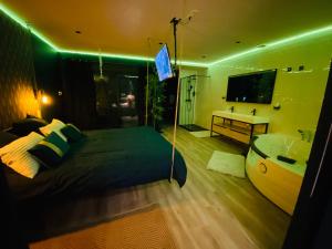 Appartements Capsule le temps suspendu balneo & home cinema & billard : photos des chambres