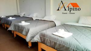 Alpino Guest House