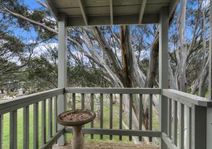 Snowgums 10