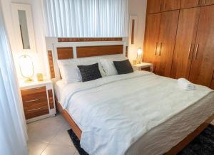 Modern apartment in Santiago de Los caballeros