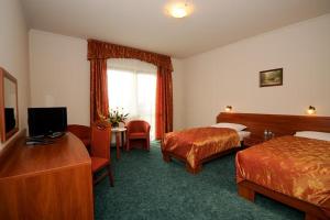 Superior Double Room room in Hotel Salamandra
