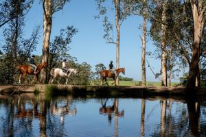 AfriCamps at Oakhurst