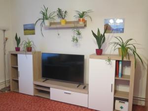 Apartman Hruba Skala