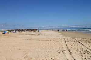 Apartamento Centro Tonelero II