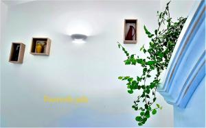 B&B Le pavoncelle sarde img26