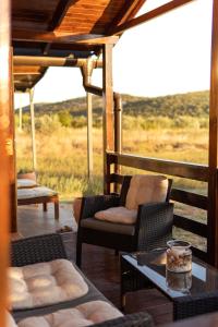 Robinson house Orkula in the heart of olives yard