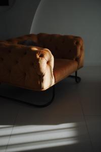 Bears Apartment Alba Iulia