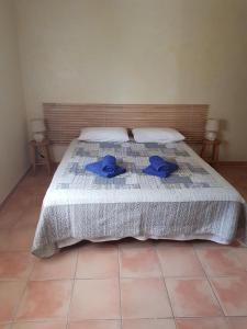 B&B / Chambres d'hotes Mas Clement - Chambre et table d'hotes : photos des chambres