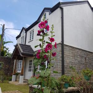 The Planters Legacy By Fairway