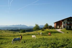 3 hvězdičkový hotel Aschbacher Hof Feldkirchen-Westerham Německo