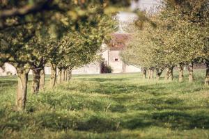 Maisons de vacances Gite Les Mirabelles : photos des chambres