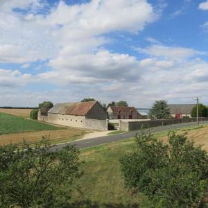 Maisons de vacances Gite Les Mirabelles : photos des chambres