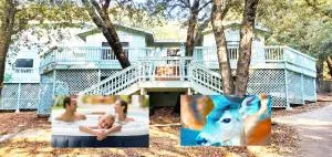 Pine Hills Cabin in Julian - 布洛瓦德