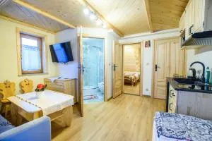 Willa Chochołowska - 维塔诺瓦