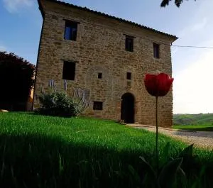 Il Capuccio - Loretello