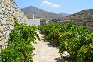 Abrami Traditional Villas & Studios Naxos Greece