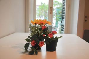 Bilocale in centro - Barthy apartment