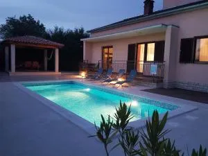 House Bile - Šajini