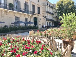 Appartements Romance, design and an amazing view : photos des chambres