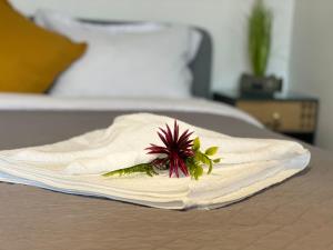 Modern place to Stay-self check-in nonstop 24h-wifi