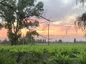 La Casona de Don Salo