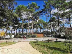 Appartements Vacances sous les pins, pres de la mer, 6-8 pers,bien equipe, piscine : photos des chambres