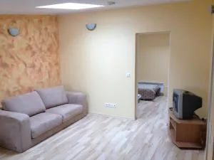 Rakvere Penthouse Apartment - Vinni