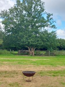 Pitch your own tent in beautiful location Kent Sussex border