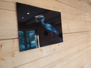 Apartamenty Ptasi Przylądek