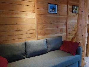 Maisons de vacances Gite le Petit Muscat a Eguisheim : photos des chambres