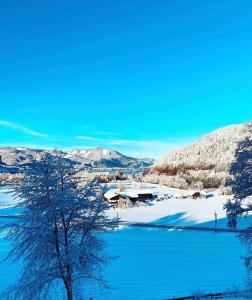 Wolfgangsee Seeblickplatzl 220 - mit tollem Seeblick!