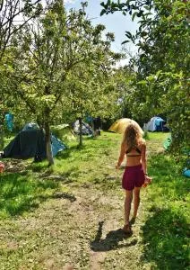 Secret Garden Camping - Săcălaia