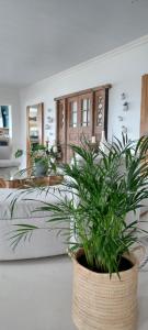 Chateau de Marine Boutique Hotel