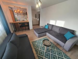 Perfect Stay Apartment Petrosani