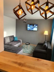 Perfect Stay Apartment Petrosani