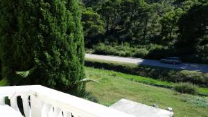 Apartments Beba Zalad