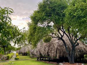 Yala Lake View Cabanas