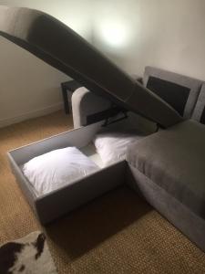 Le Victor Hugo 3D et sa pizza offerte